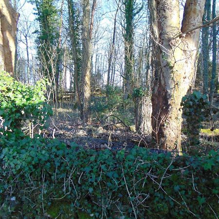 Dreamwood Cottage, Loch Lomond, Luxury Apartment. Γλασκώβη Εξωτερικό φωτογραφία