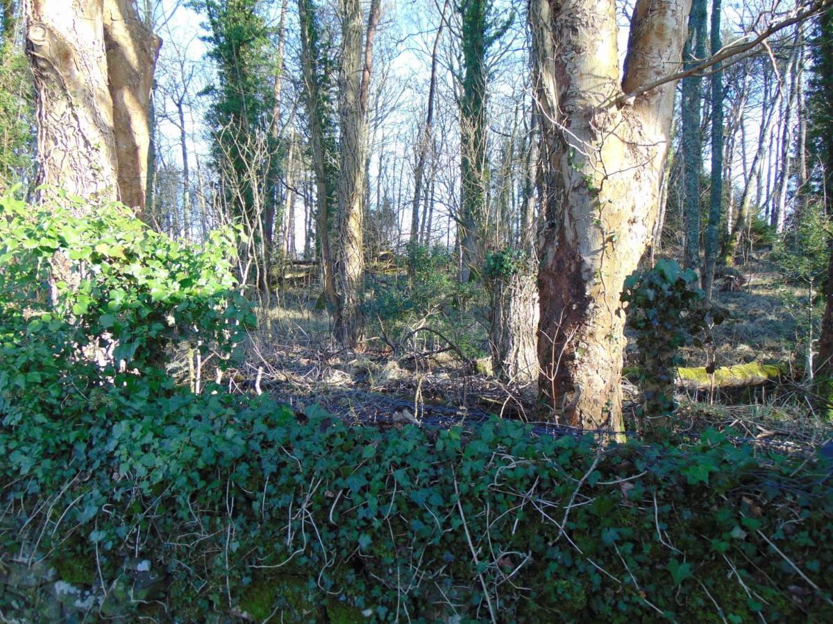Dreamwood Cottage, Loch Lomond, Luxury Apartment. Γλασκώβη Εξωτερικό φωτογραφία