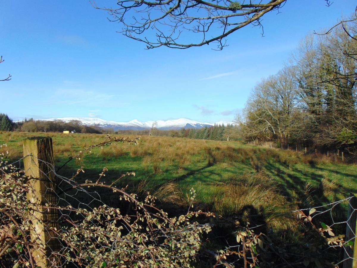 Dreamwood Cottage, Loch Lomond, Luxury Apartment. Γλασκώβη Εξωτερικό φωτογραφία