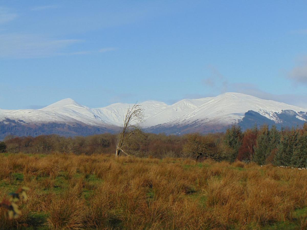 Dreamwood Cottage, Loch Lomond, Luxury Apartment. Γλασκώβη Εξωτερικό φωτογραφία